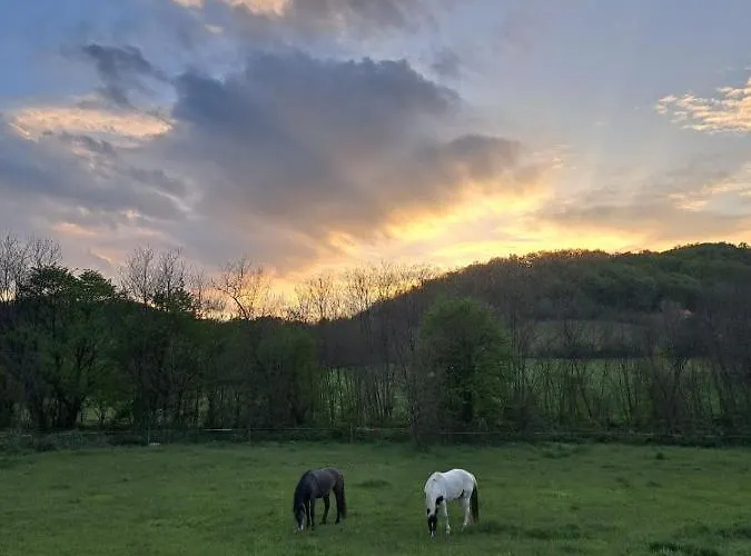 Vikendica Garaski Kutak 阿然德洛维克