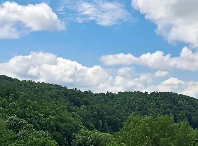 Ferienhaus Vikendica Garaski Kutak